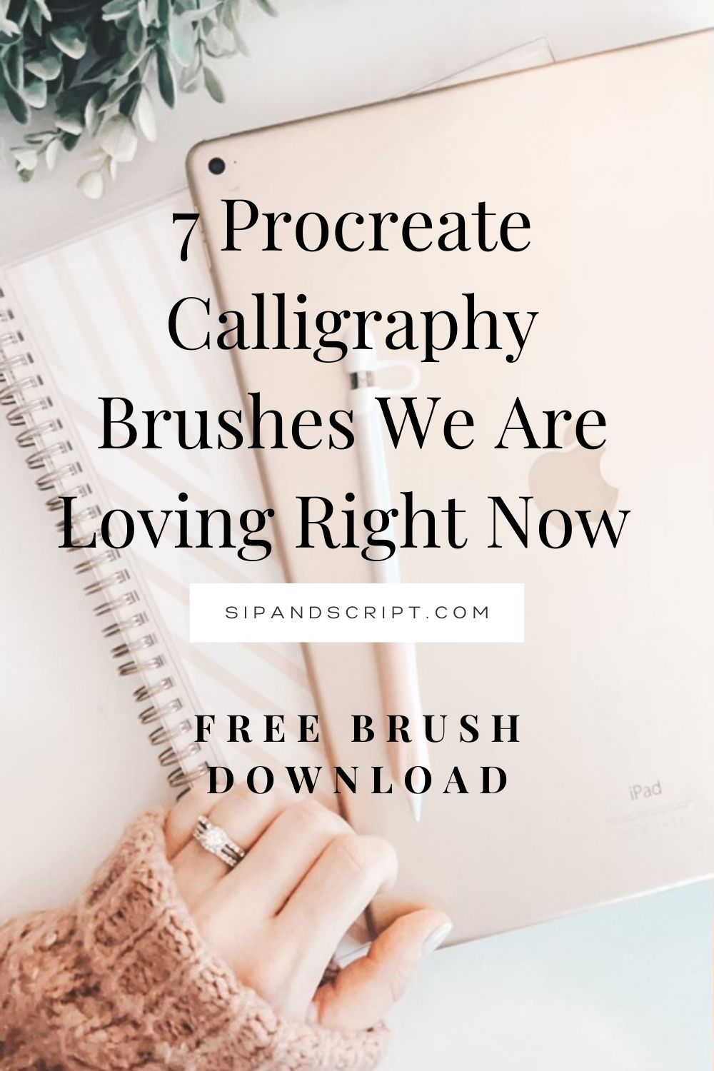 free modern calligraphy brush procreate